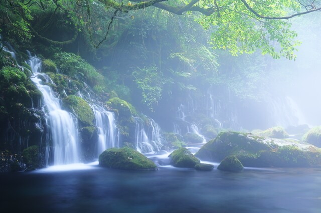秋田県のホームページイメージ画像