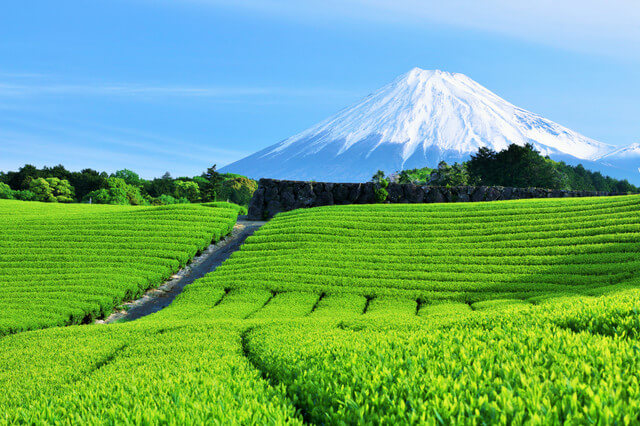 静岡県のホームページイメージ画像
