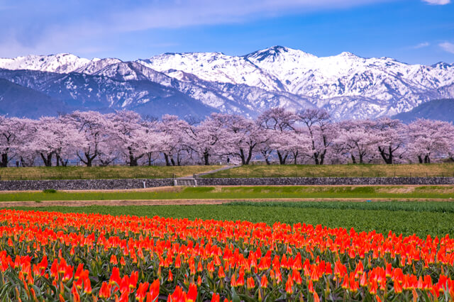 富山県のホームページイメージ画像
